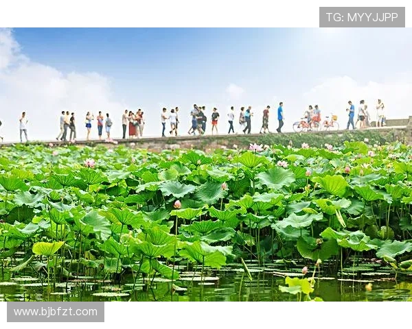杭州乒乓球队的节奏与魅力探秘：从训练到比赛的全景观察