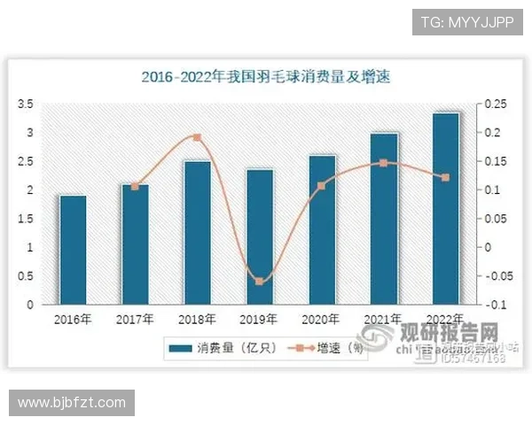杭州羽毛球队技术对比深度解析与发展趋势探讨 杭州羽毛球队技术对比深度解析与发展趋势探讨